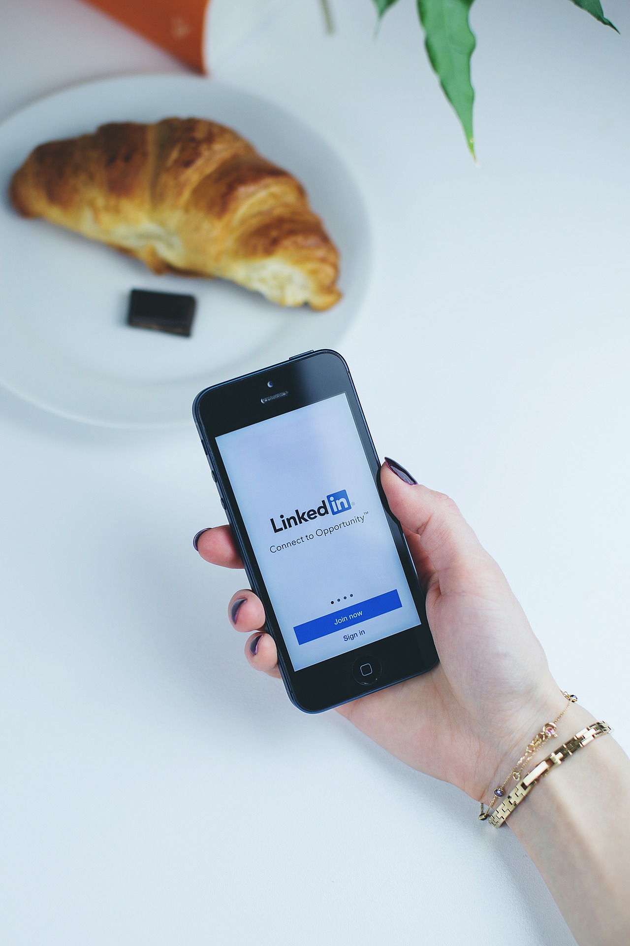 r Tomandl Social Media Marketing